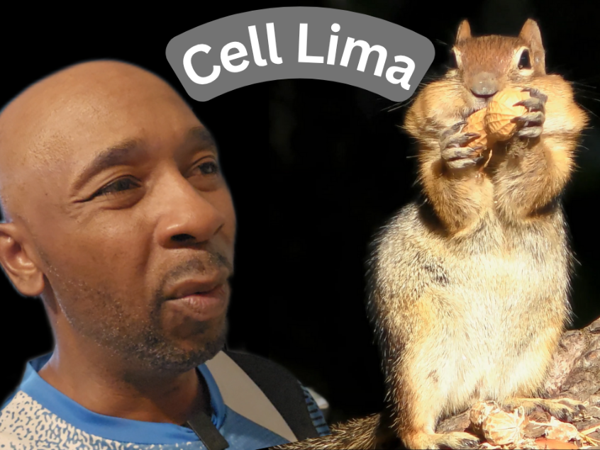 How to Activate Cell Phone Service in Lima, Peru