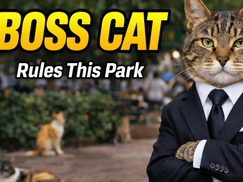 Kennedy Park Lima, Peru